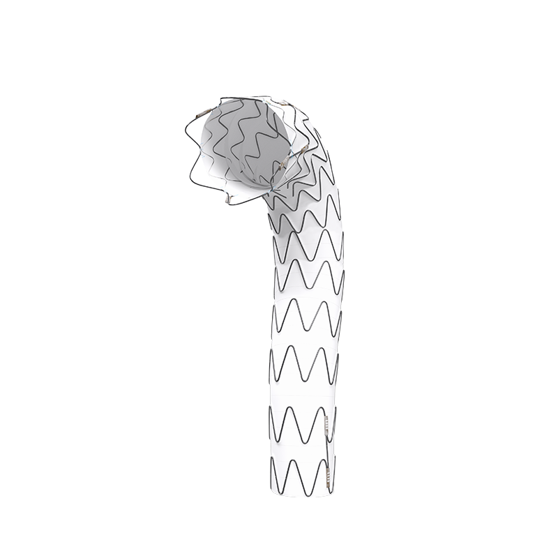 1002x428v0