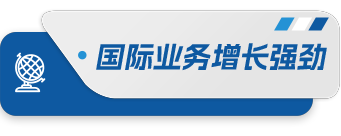 国际业务增长强劲(1).png 国际业务增长强劲(1).png