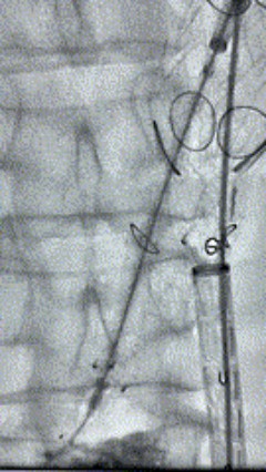 图片 14.jpg 图片 14.jpg