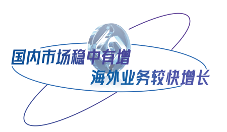 国内市场稳中有增，海外业务较快增长.png