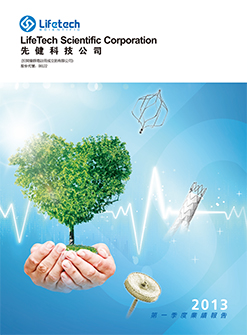 2013第一季度报告